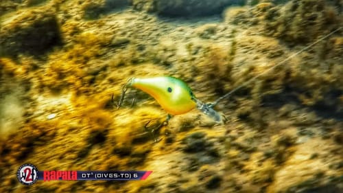 Rapala DT 6 Crankbait Underwater Video [Tackle Review]