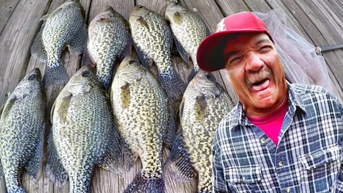 Crappie Fishing For Supper! Slabs Can't Resist The Underspin