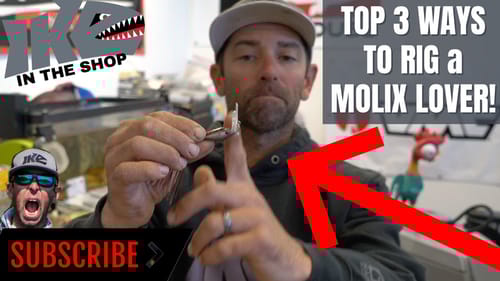Top 3 Ways to Rig a MOLIX LOVER!!
