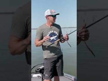 Pick CONFIDENCE in the Early Fall