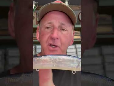 Jerkbait Color Trick