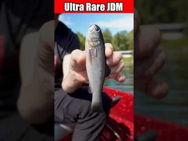 This JDM Lure JUST Dropped — and I Got It First
