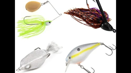 Top 5 Favorite Lures