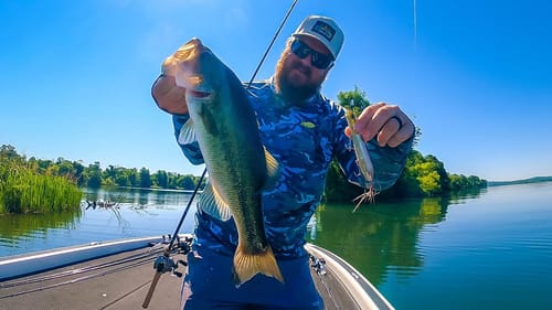 Summer Bass Fishing! Epic Topwater Bite + Ledge Fishing Tips!