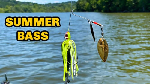 Bass in the Shade - Summer Lake Fishing