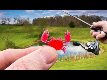 This TINY CRAB Bait Shouldn't Work... But it DID!!! (Pond Monster)