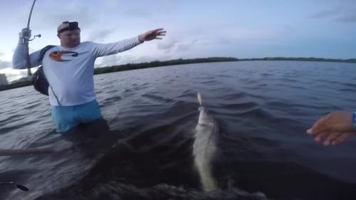 Wade Fishing for Big Snook
