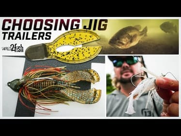 Top Trailers For Flipping, Skipping, And Swim Jigs