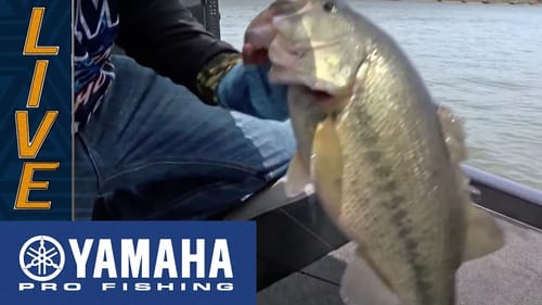 Yamaha Clip of the Day: Brandon Lester's big jig bite
