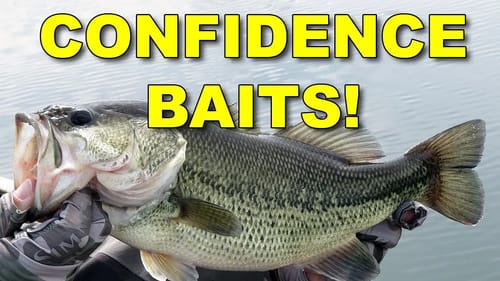 Secret Confidence Baits of the Pros! | Bass Fishing