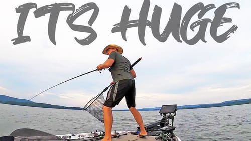 CATCHING BIG LEDGE BASS WITH DEEP CRANKBAITS!!! (THEY'RE LOADED)