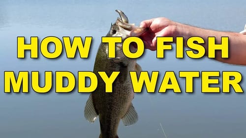 How To Fish Muddy Water (Proven Tactics That Work!) | Bass Fishing