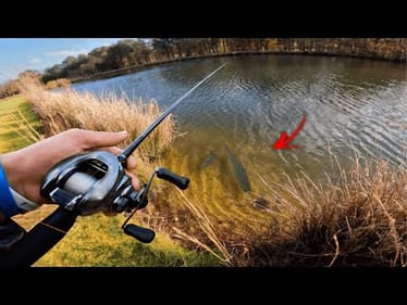 Sight Fishing UBER Clear TROPICAL Golf Course Bass! (BIGS)