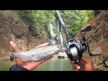 This Lake In JAPAN Is A FISHERMAN'S HEAVEN!