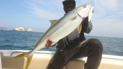 Fishing The Surface Iron For California Yellowtail!