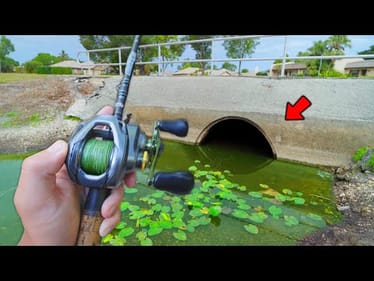 Fishing Hidden Florida PONDS For Big BASS! -- Ep.1