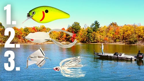 The #1 BASS LURES For FALL (Fall Bass Fishing Tips)