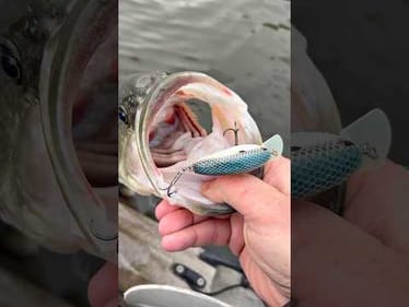 This Crank Is 🔥This Past Week!