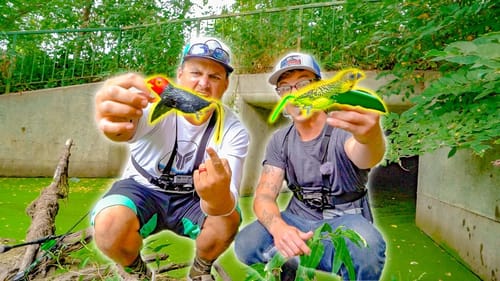 GIANT BIRD LURE Fishing Challenge!! -Winner Gets $100