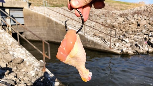 I DID NOT Want to Catch This MASSIVE PB This WAY!!! (RARE Catch x2)