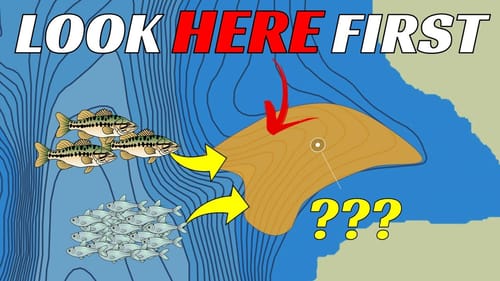 Most Overlooked Fall Bass Fishing Areas That Are Loaded With Fish