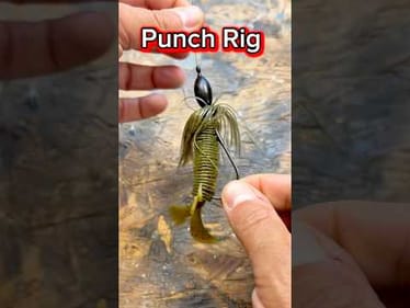 How to Rig a Punch Rig