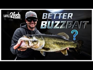 Wes Logan’s Guide to Fall Buzzbait Fishing Success