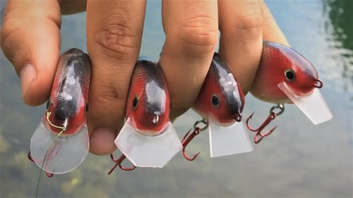 Testing Different CrankBait Lip Shapes