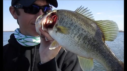 Pre Spawn Bass Fishing with a Great Topwater Ending