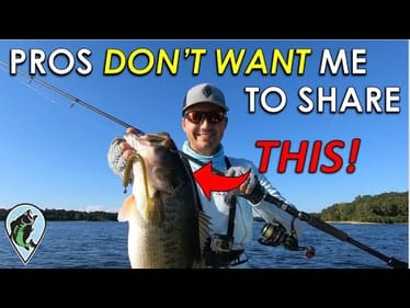 This Retrieve Has Been a Pro Secret for 5 years! | Deep Water Neko Rig