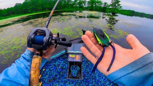 Why Is This HAPPENING?!? Frog Fishing Thick Grass & Heavy Cover (HELP)