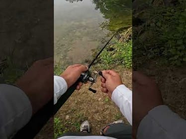 Straight STEALTH Mode To Catch These BASS