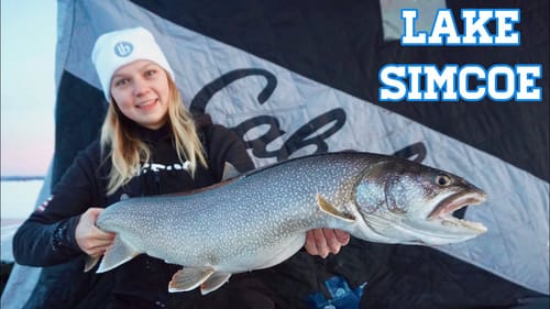 Lake Trout & Whitefish on Lake Simcoe! White Tube for the Win!!