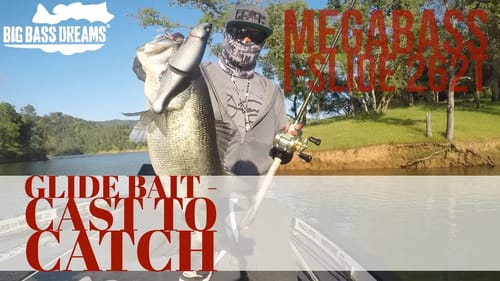 Cast to Catch Megabass I-Slide 262t Glide Bait Largemouth