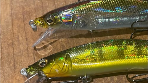 How To Catch Bass On Jerkbaits In The Fall/Early Winter Transition Time