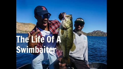 The Search For Desert Swimbait Bass Ft Rashad Goodson, Phoenix Pichner