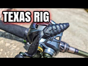 Summer Bass LOVE the Texas Rig (Summer Bank Fishing)