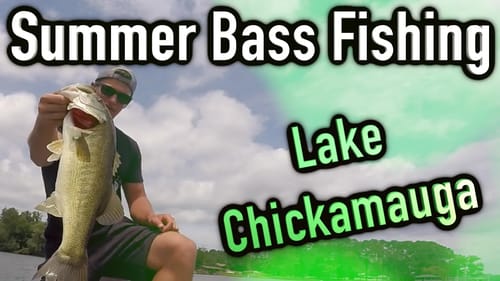 Catching Big Summer Bass Fishing ~ Lake Chickamauga Day 2/3