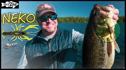Neko Rigging Crawfish Plastics for Negative Bass