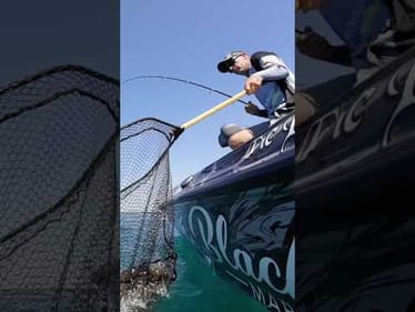Underwater Footage Day 2 MLF Invitationals Detroit River #short #bassfishing #detroitriver #bigbass