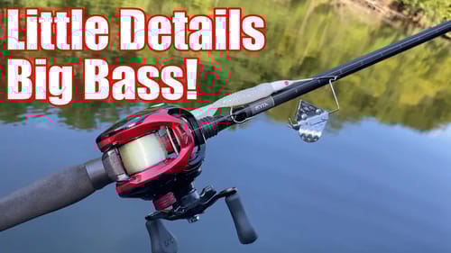 Little Details Big Bass on the Buzzbait
