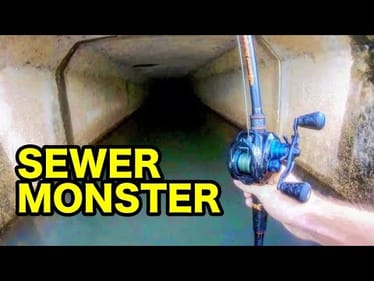 MONSTER FISH in a CITY SEWER!!!