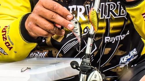 Lipless Crankbait Fishing TIPS & Techniques w/ Bobby Lane