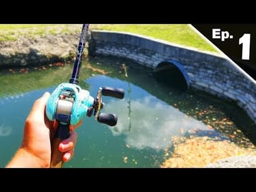 Found TROPHY Pond LOADED w/ MASSIVE Bass Ep. 1