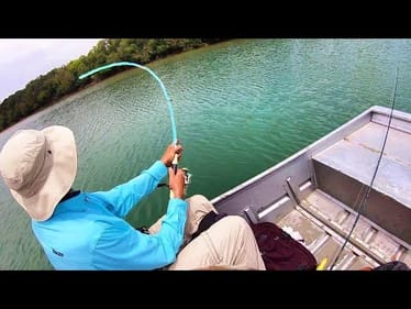MONSTER FISH in CLEAR WATER LAGOON!!