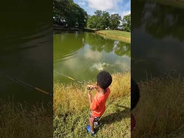 Searching for Giant Farm Pond Bass