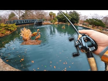 Fishing Inside AMUSEMENT PARK Ponds!! (Sketchy)