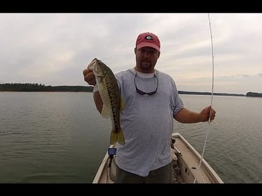 How to Fish a Fluke (Soft Jerkbait)