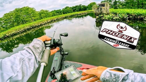 TOPWATER Fishing in Shallow Backwaters || James River Summer BFL