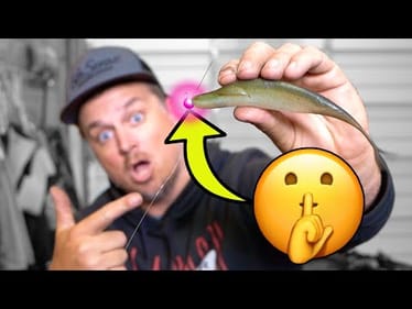 You’re fishing a Jighead Minnow WRONG!! (Top 10 Jighead Minnow Tips)